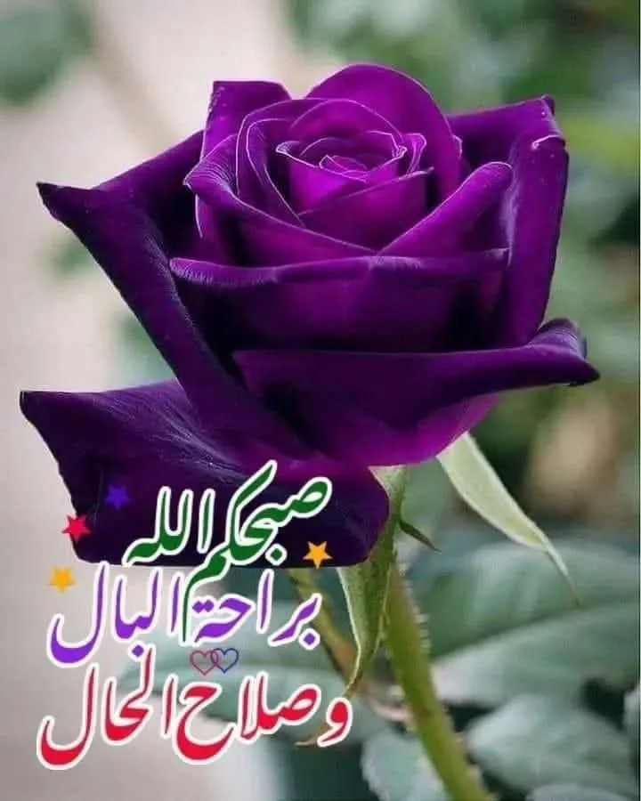 شمس سامي